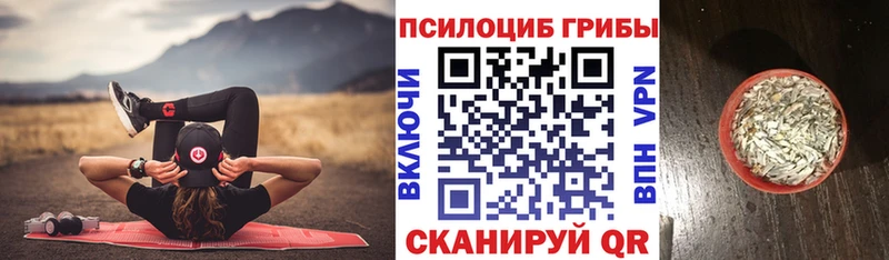 Галлюциногенные грибы ЛСД  Купить где  Павловская 